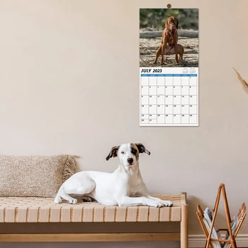 1 ШТ Настенный календарь на 2024 год-Календарь на 2024 год 12 ежемесячных какающих собак Календарь на 2024 год Забавные подарки с кляпами Изображение 4