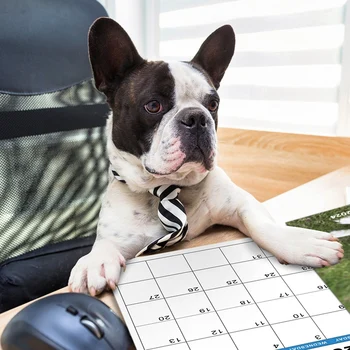 1 ШТ Настенный календарь на 2024 год-Календарь на 2024 год 12 ежемесячных какающих собак Календарь на 2024 год Забавные подарки с кляпами Изображение 5