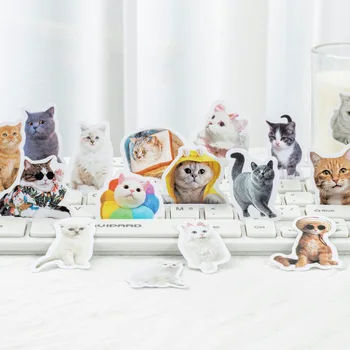 Наклейка с изображением кошки, портативная двухтактная коробка, Многоцелевая декоративная уплотнительная наклейка, наклейка для палатки для рук, 50 штук Изображение 0